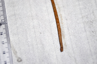 Detalle 3